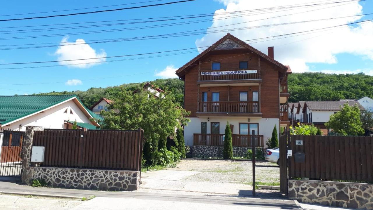 Casa Paduricea Hotel Dezmir Exterior photo